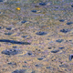 Image for article titled Lunar Dreams: 40 Classic Moon Exploration Paintings